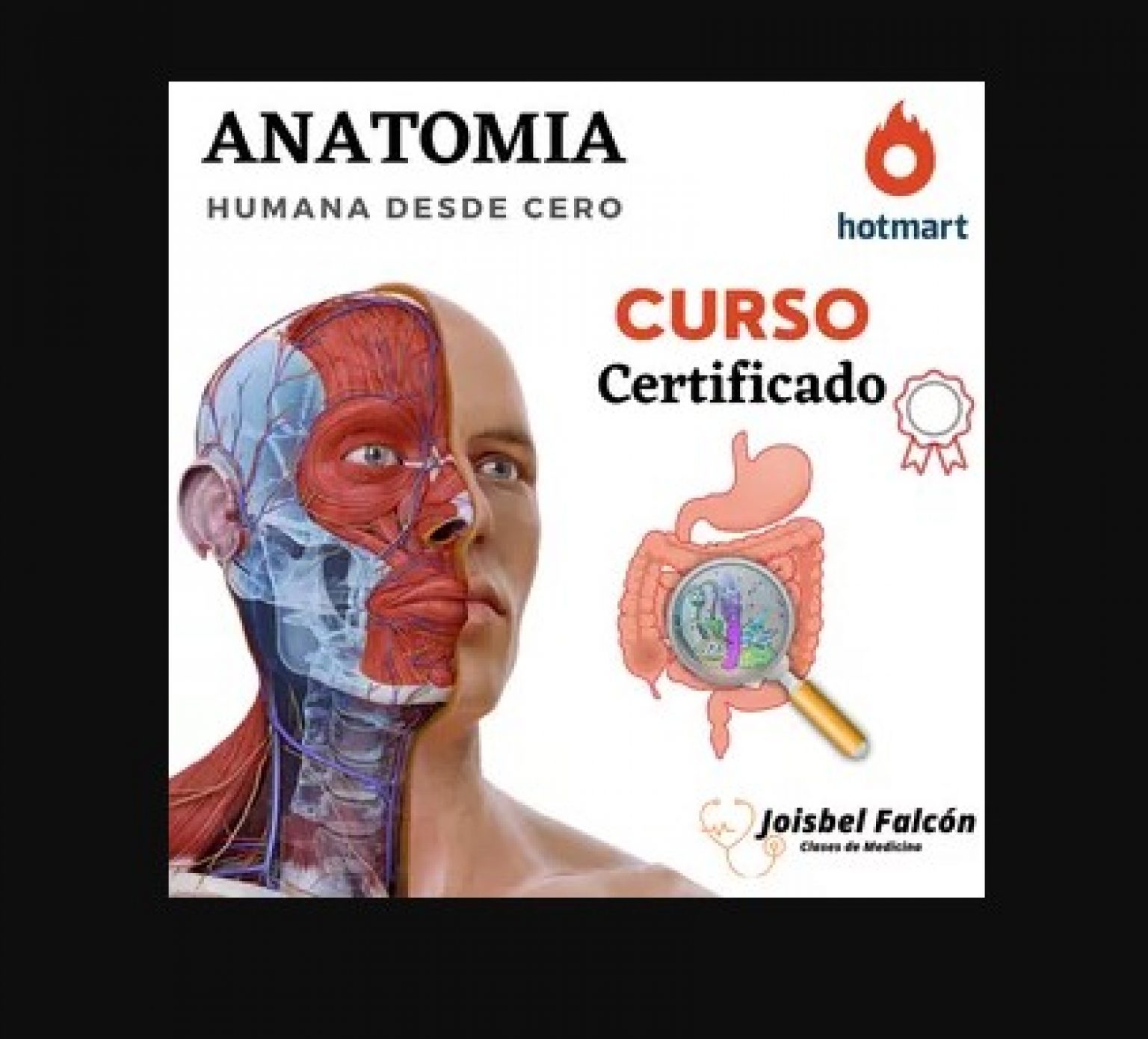 Aprende Anatomia Humana Desde Cero Joisbel Falc N Udemin