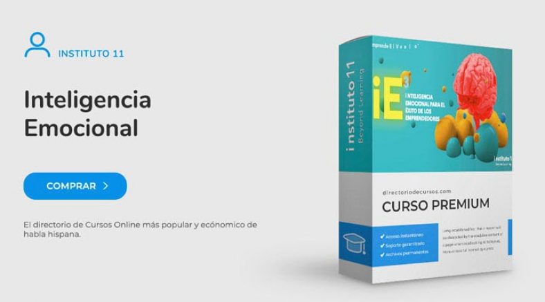 Curso Inteligencia Emocional instituto 11