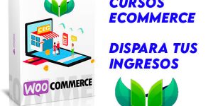 Cursos de eCommerce Dispara Tus Ingresos
