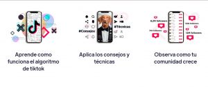 Descargar curso Mis mayores secretos de Tik Tok