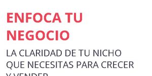 Curso Enfoca Tu Negocio de TheFigCo