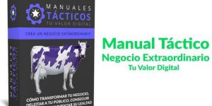 Curso Manual Táctico Negocio Extraordinario de Tu Valor Digital