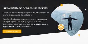 Curso Estrategia de Negocios digitales