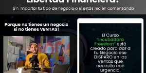 Curso Incubadora Freedom – Titto Galvez