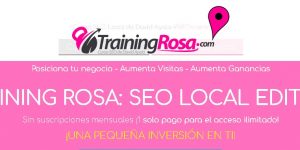Curso SEO Local de David Ayala – Training Rosa