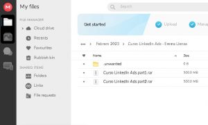 contenido Curso LinkedIn Ads – Emma Llensa