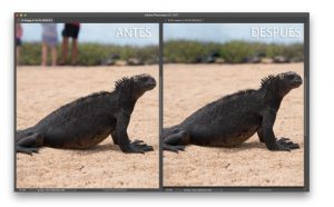 Contenido Photoshop en una Semana – EstudioGuti